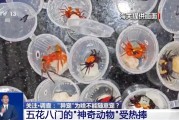 泰兴@铲屎官们 养“异宠”或危害国家安全 这些行为违法了