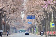 泰兴共建“花园城市” 北京这场议政会“百花齐放”