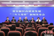泰兴贵安新区：突出算力优势布局 构建中国领先的智算高地
